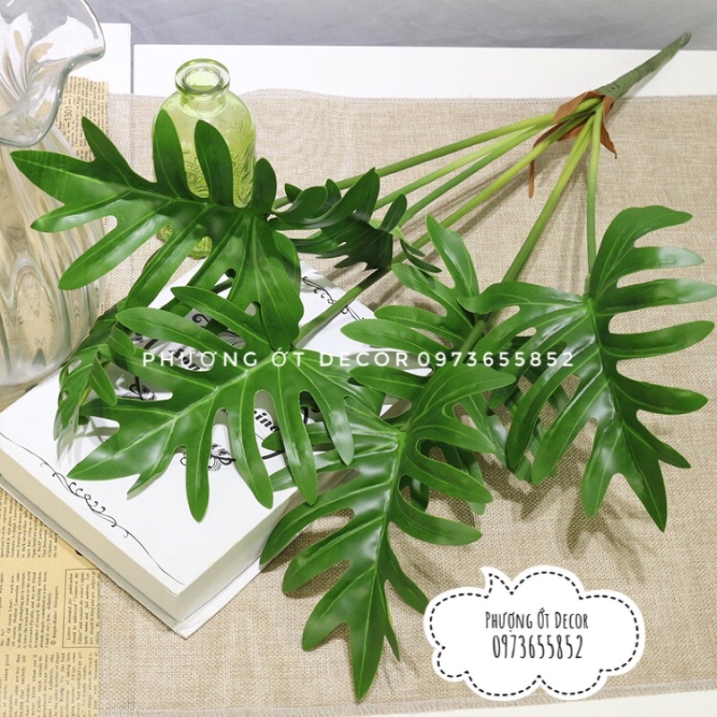 Cây giả - cây lá chầu bà thanh Xuân cao 70cm gồm 7 lá