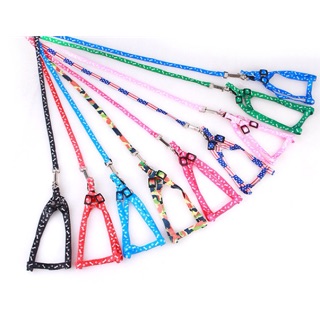 Dây dắt cho chó mèo 1 lớp