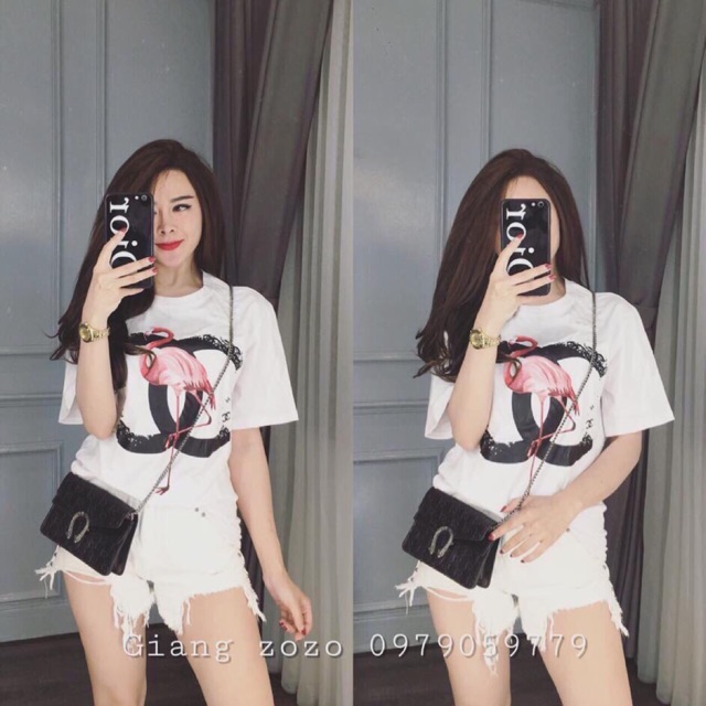 Áo hạc