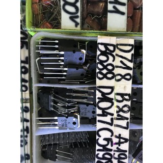 HOT-5 con Sò D718 và B688 loại 1