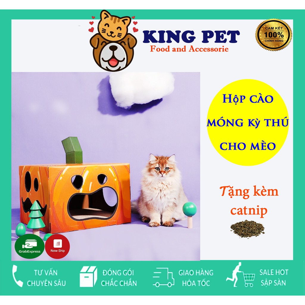 [Tặng Kèm Catnip] Hộp Box Cào Móng Cho Mèo Bí Ngô- Đồ Chơi- Bàn Cào Móng Cho Mèo