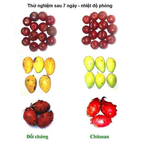 Chitosan bảo quản trái cây , hoàn toàn từ thiên nhiên, dùng cho trái cây xuất khẩu và cửa hàng nông sản Organic.
