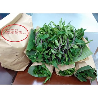 Rau rừng Gia Lai- Rau Lủi - Bầu Đất - Tinh hoa từ rừng núi 500g