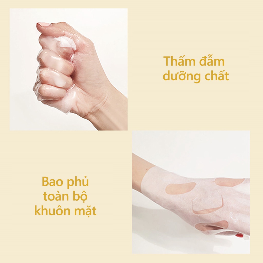 [d'Alba Official] Set 5 mặt nạ thuần chay nuôi dưỡng da 5ml/c