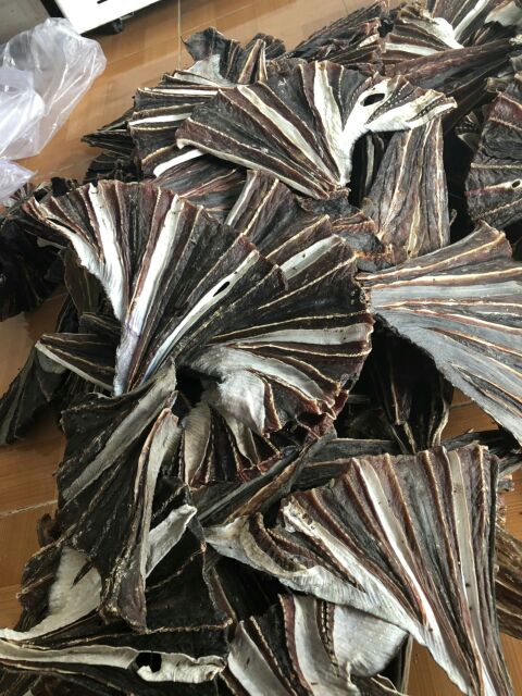 CÁ ĐUỐI ĐEN 1 KG