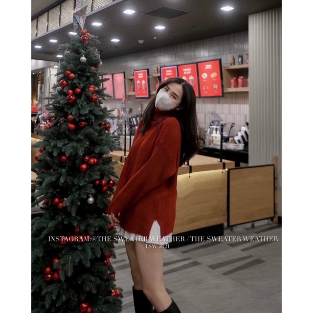 (Ảnh thật) Áo len đũa cổ lọ 5 màu trơn the.sweaterweather TSW | BigBuy360 - bigbuy360.vn