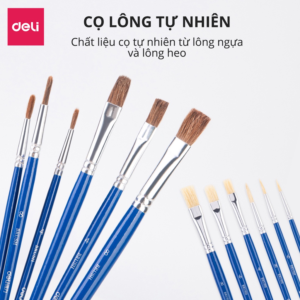 Bộ 6 cây cọ vẽ chuyên nghiệp Deli - Được làm từ sợi lông động vật mềm mại 73922