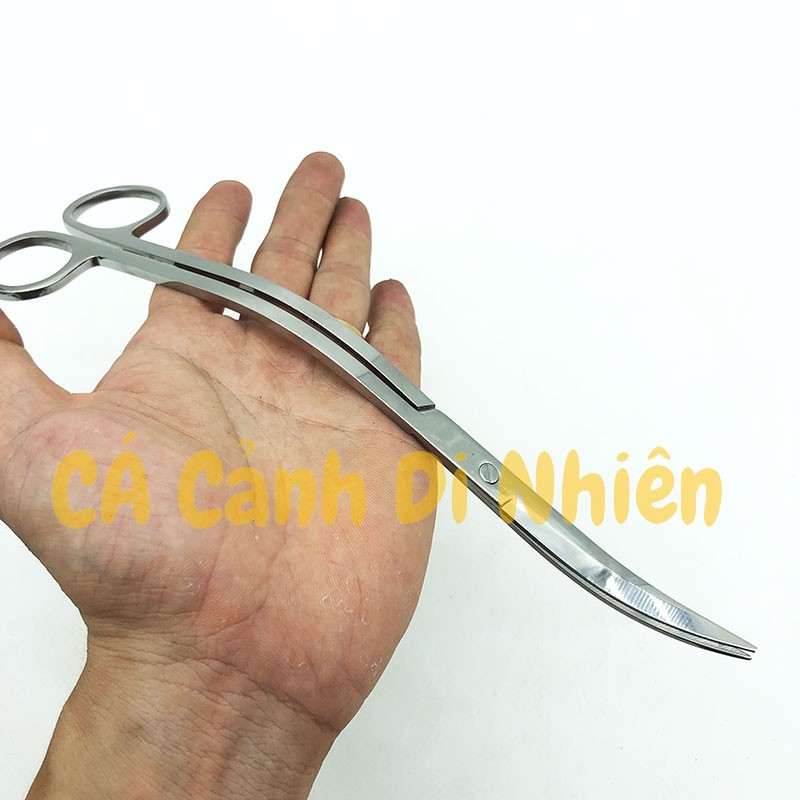 Kéo Cong chữ S cắt tỉa cây thủy sinh bằng thép size 25 cm