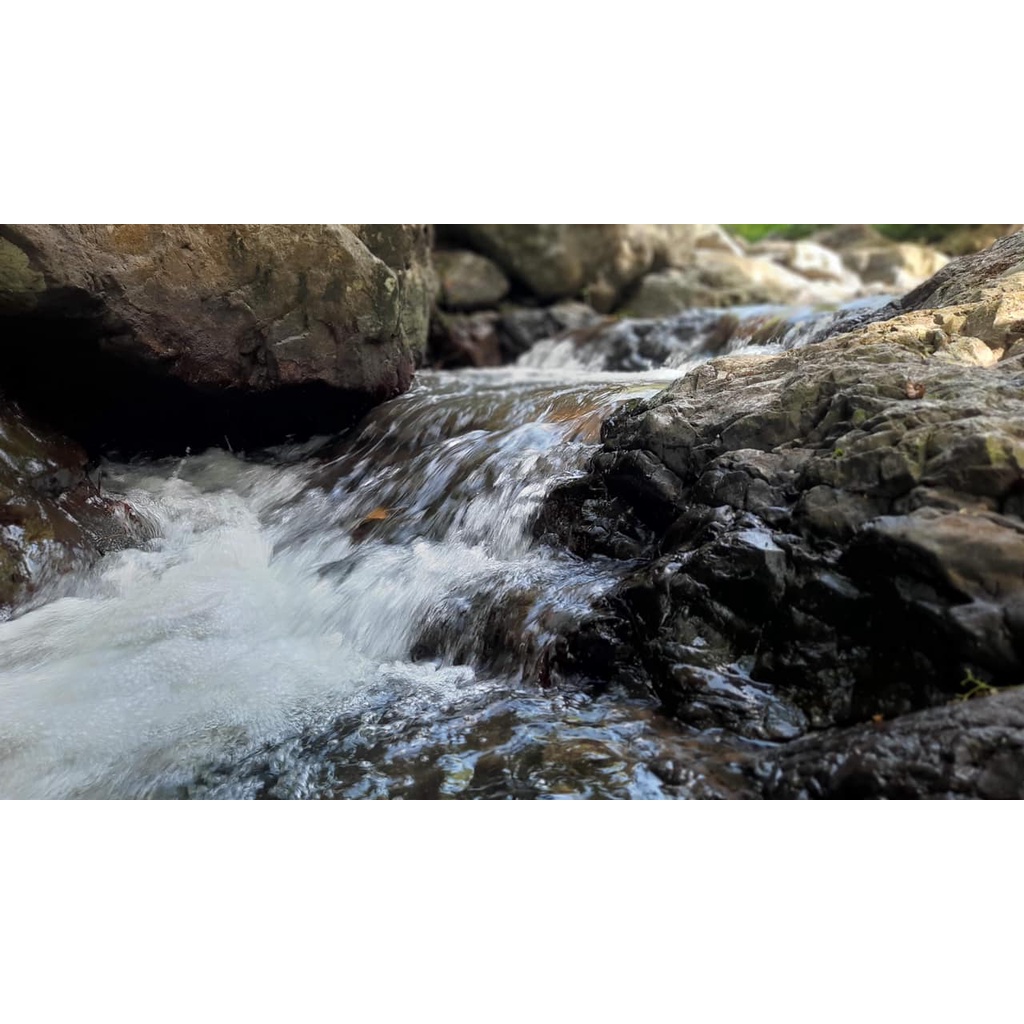 Đá vỉa suối - Loại đá mới rất Hot setup bể thuỷ sinh- chuyên dụng cho IWAGUMI,Biotope....Mua nhiều ưu đãi giảm giá