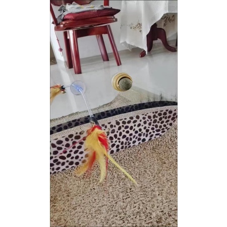 Cỏ moè moe toé hot tiktok treo tường mê li cá rô phi