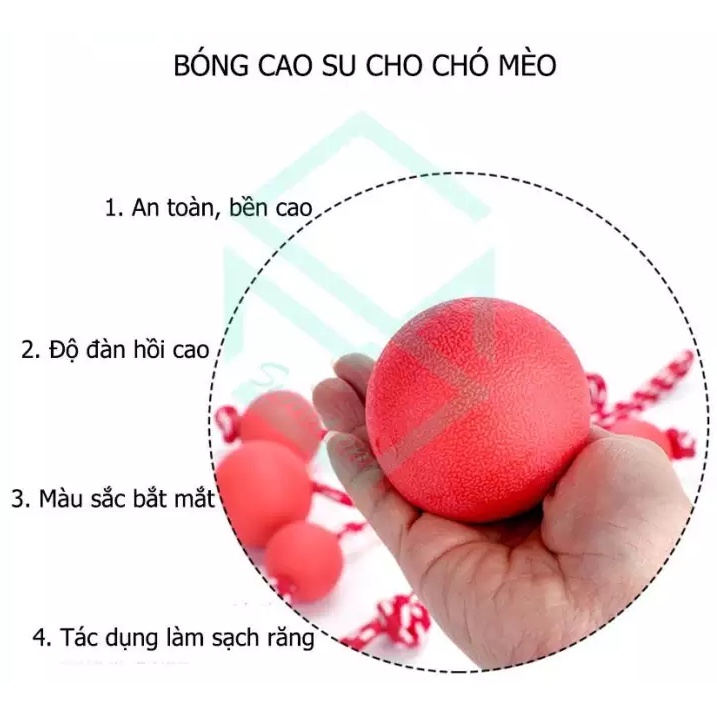 Bóng tập cắn có dây cho chó mèo DACOTE loại tốt độ bền cao giúp làm sạch răng