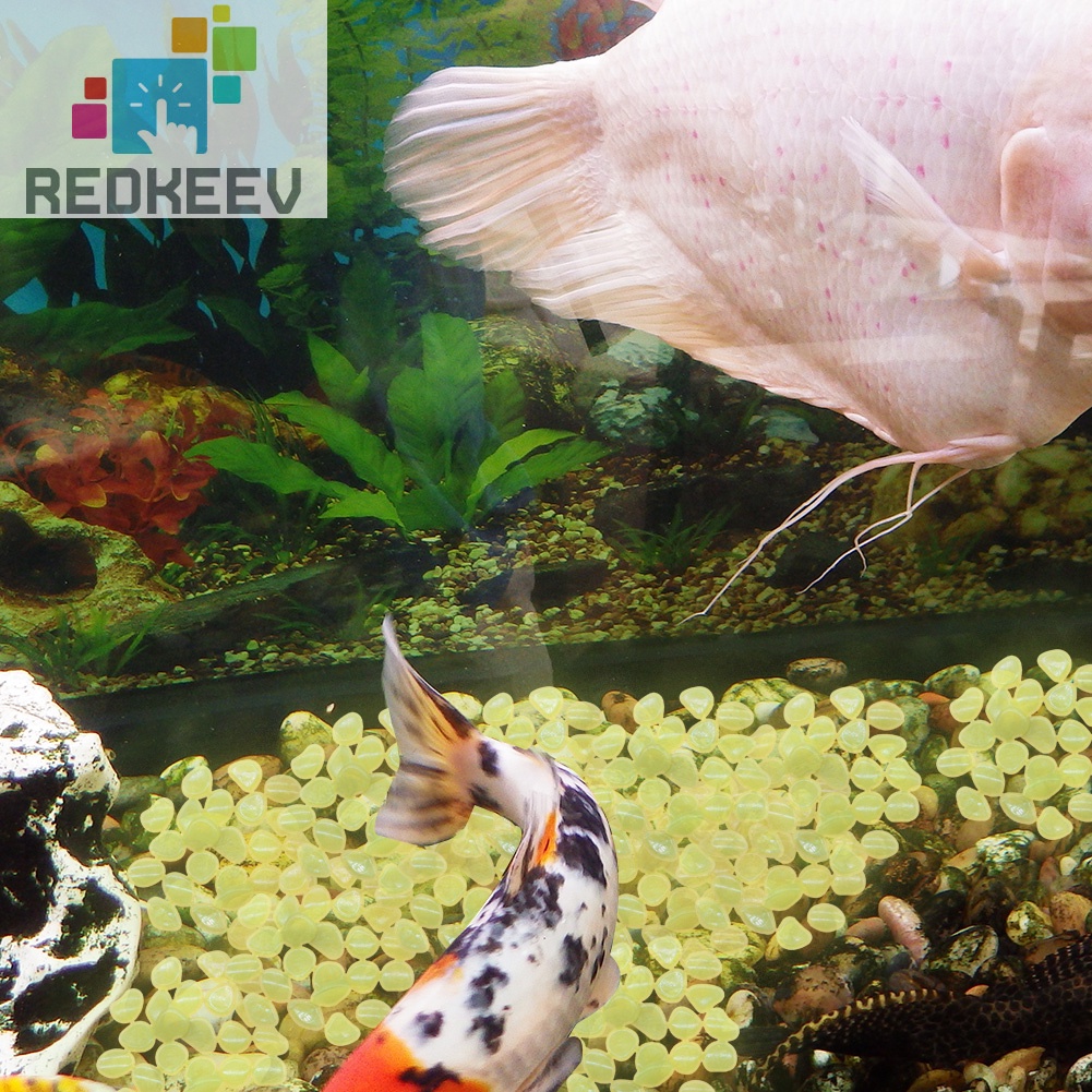 Set 100 viên đá cuội phát quang nhiều màu sắc dùng để trang trí bể cá