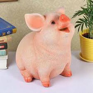 Heo Đất 5D Cực Cool Cực Cute