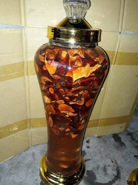 500g Cây Mú Từn - bổ thận tráng dương mạnh | BigBuy360 - bigbuy360.vn