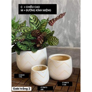 Chậu cây Gabi dáng tròn gốm Bình Dương xuất khẩu - 3 size nhiều màu