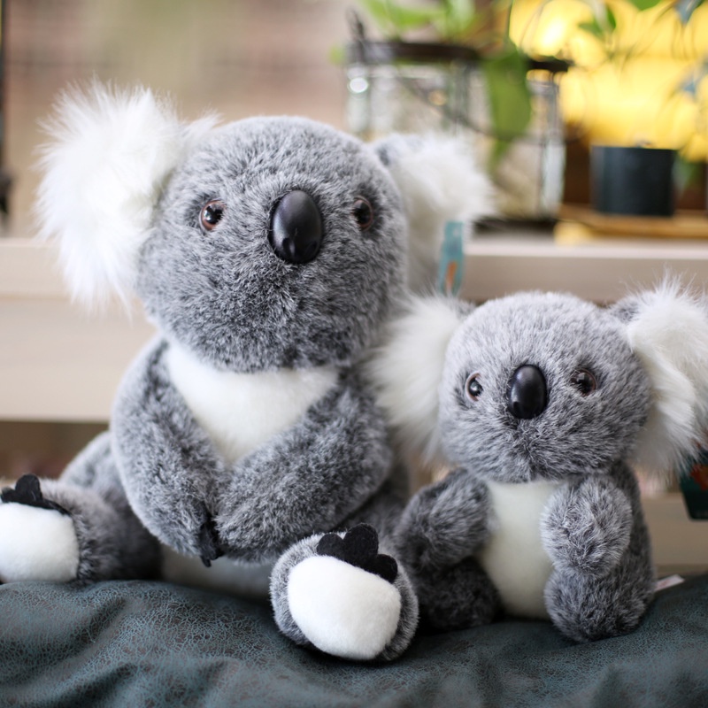 Gấu Koala Nhồi Bông Mềm Mại Xinh Xắn