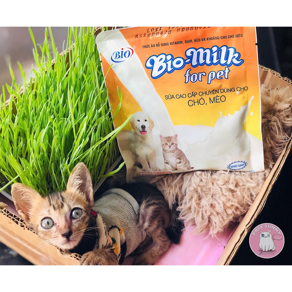 Sữa Bio Milk dành cho chó mèo sơ sinh