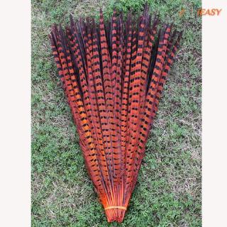 10 lông vũ nhiều màu 30-35cm