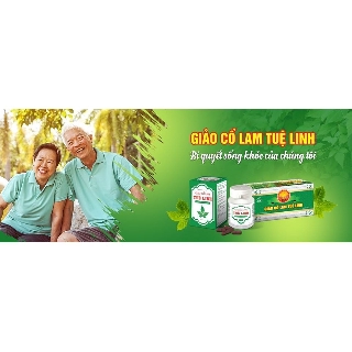 (CHÍNH HÃNG) GIẢO CỔ LAM TUỆ LINH (60 VIÊN)