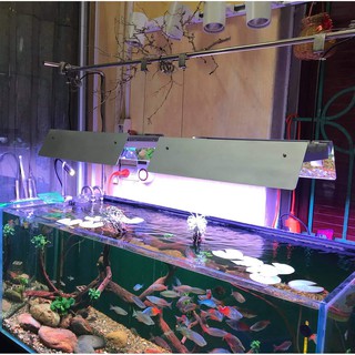 [Made In VN] Shade JetA Chắn Sáng Đèn Thủy Sinh Dùng Cho Đèn Netlea AT3 Pro Vuông, X400, C2, Flat Nano, Z200