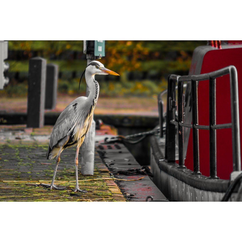 Ống kính máy ảnh Tamron 80-210mm f4.5-5.6 AF Nikon   - 11439