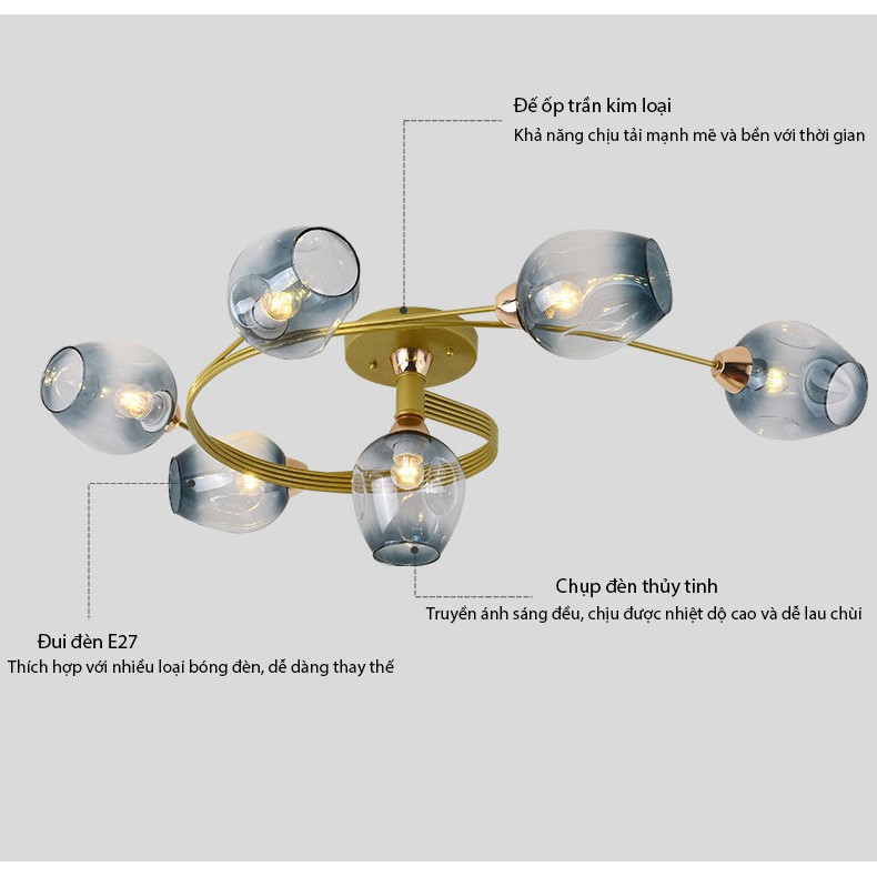 Đèn trần MONSKY GUNY 6 bóng kiểu dáng sang trọng trang trí nội thất - kèm bóng LED chuyên dụng