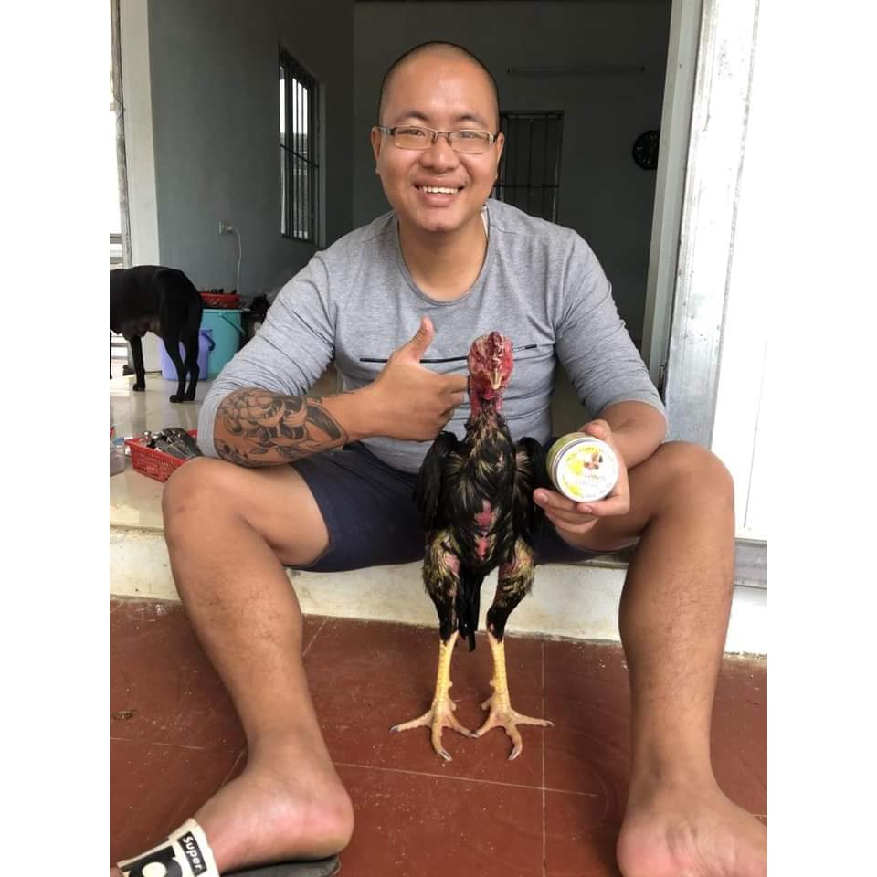 CAO TAN ĐÒN NAM CẬN Tác dụng giảm đau, giảm sưng, chống phù nề cho gà đi đá về Chống nhiễm khuẩn, đẩy nhanh tao ken gi