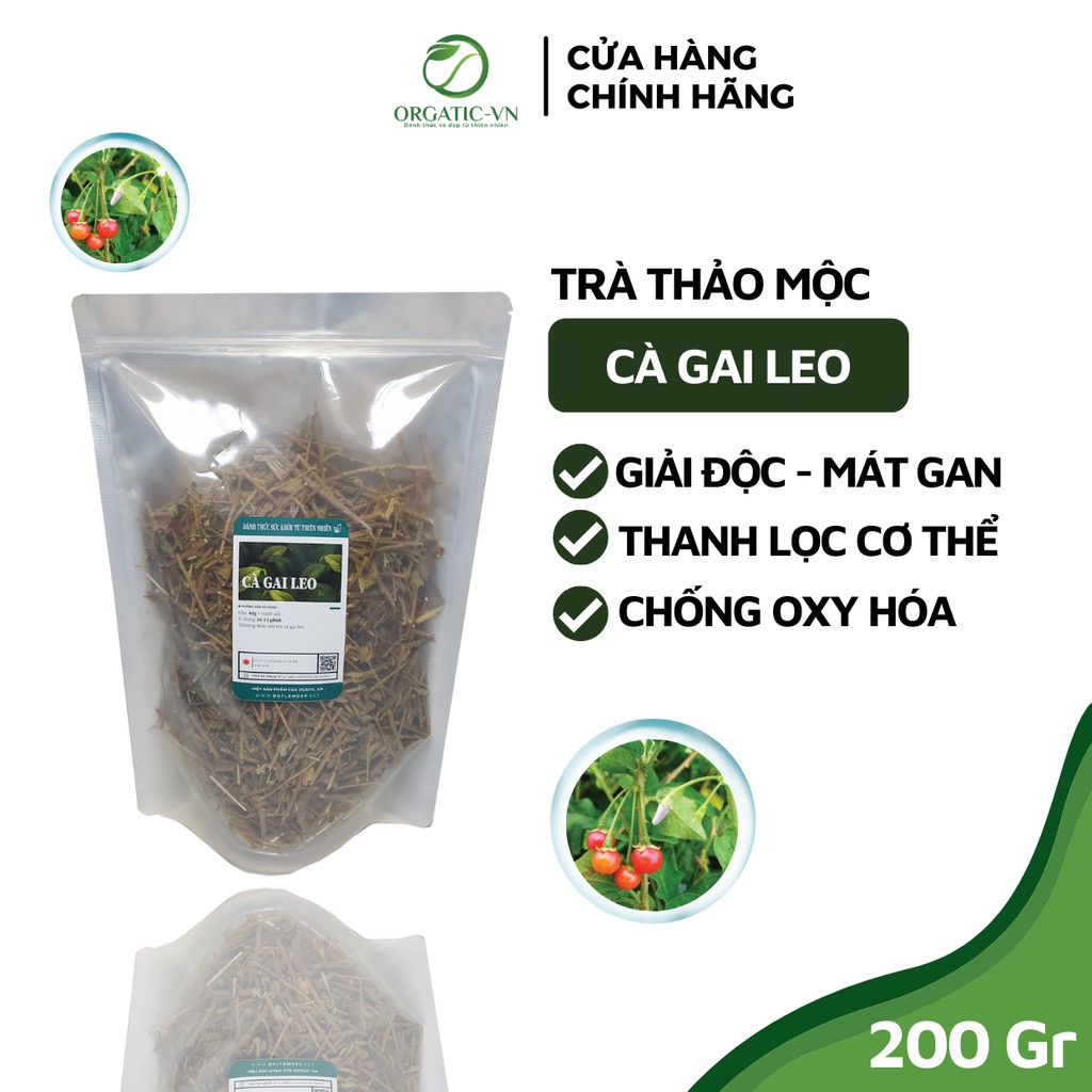 Cà Gai Leo - Hỗ trợ bảo vệ lá Gan cho cả gia đình bạn - Túi 200Gr