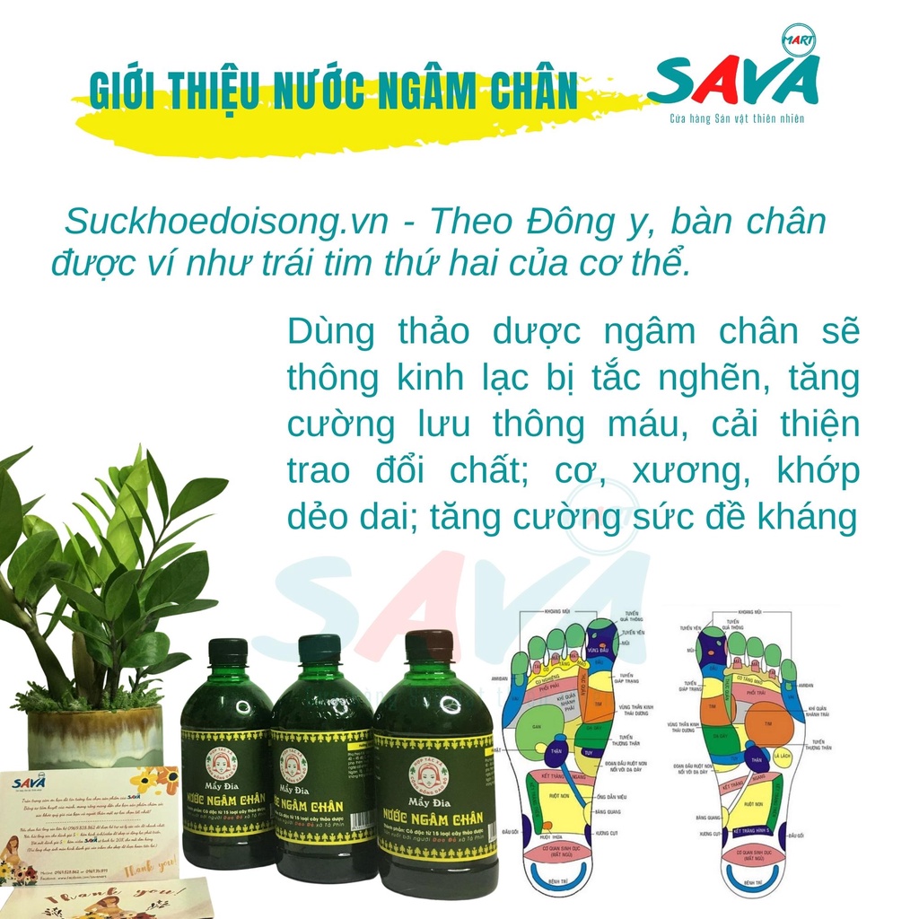 Nước ngâm chân Dao Đỏ Sapa giảm đau nhau nhức mỏi chân tiện dụng đi du lịch