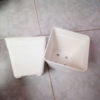 Chậu nhựa cứng vuông