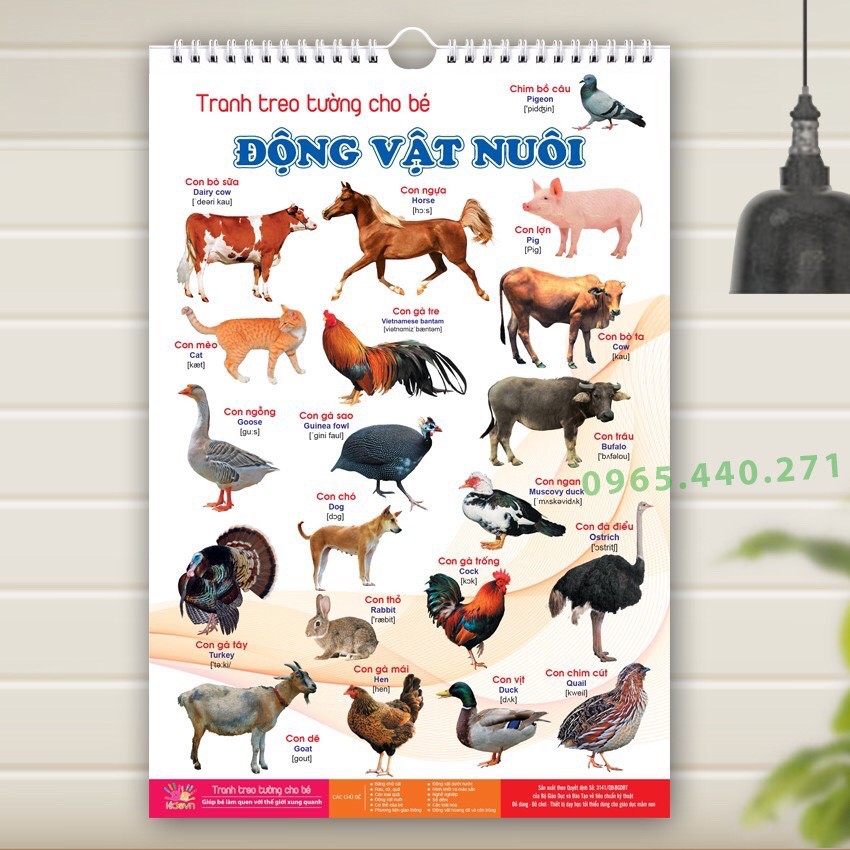 Bộ tranh treo tường cho bé - 14 chủ đề - Song ngữ  - Hàng loại 1