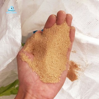 Cát nắng vàng trải nền hồ thủy sinh 500G