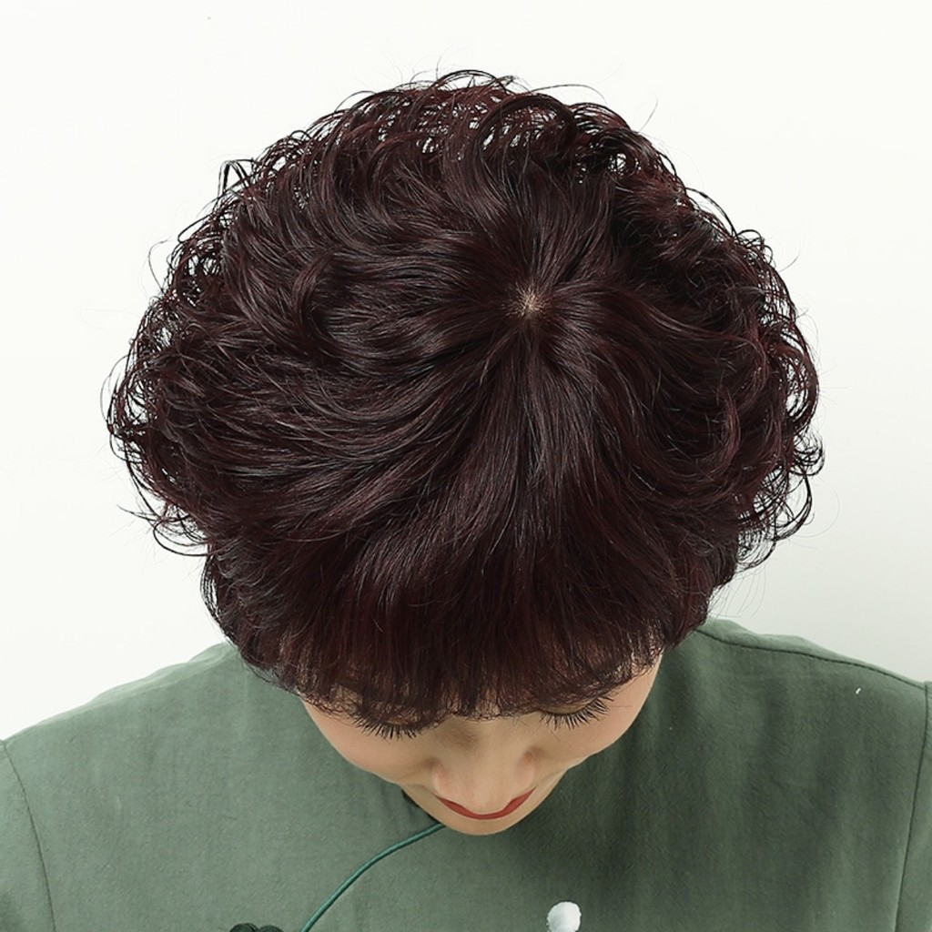 [ TẶNG KÈM LƯỚI VÀ LƯỢC ] Tóc giả nữ nguyên đầu cho người trung niên, tóc cho người lớn tuổi 9209