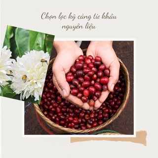 Bột cà phê nguyên chất - 500 gram - rang mộc