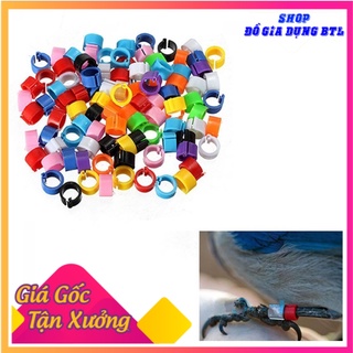 100 vòng đeo chân gà, động vật nhiều màu sắc