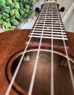 Đàn Ukulele Concert Rosen Gỗ LMN CB2