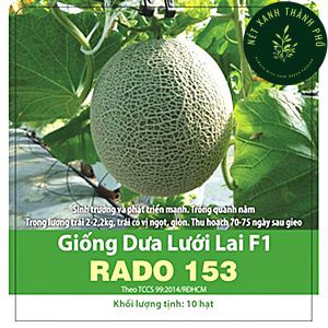 Hạt giống dưa lưới chịu nhiệt, 10 hạt