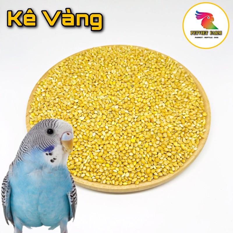 KÊ VÀNG - GÓI 1KG