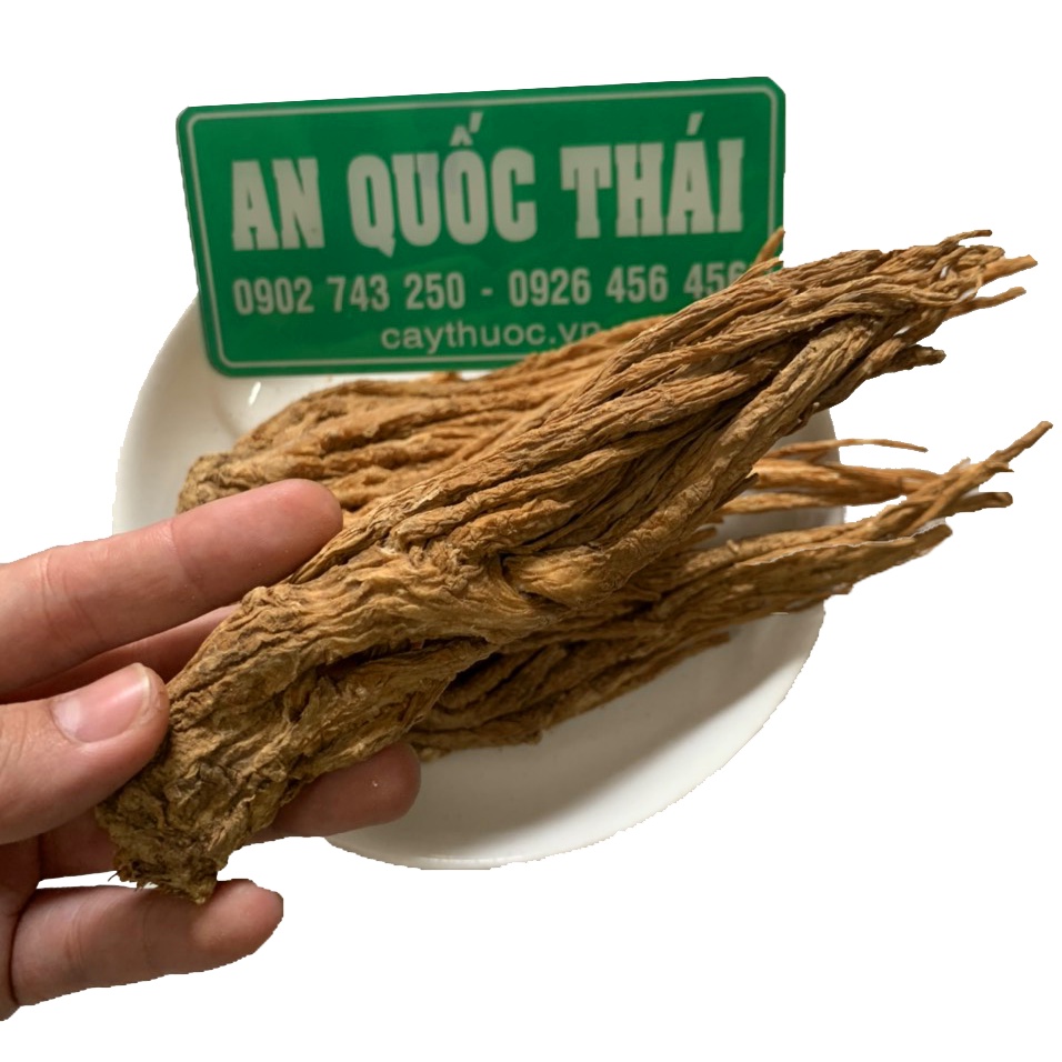 1kg Đương Quy Khô [Hàng Chuẩn] Nguyên Củ Vàng, Đẹp, Bồi Bổ Khí Huyết, Dưỡng Da Phụ Nữ
