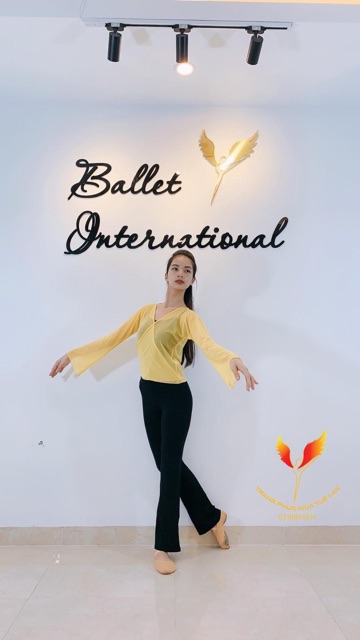 Áo múa lưới xinh 3605