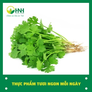 [CHỈ GIAO HÀ NỘI] Rau mùi ta sạch ngon trợ giá mùa dịch - HNH Food Farm