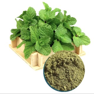 Bột Bạc Hà 200g