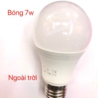Bóng 7w ngoài trời - đui e 27- combo 10 bóng