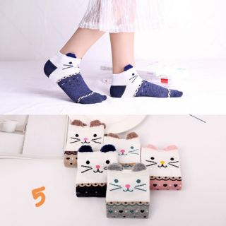 Set 5 đôi tất nữ cổ vừa (7 mẫu lựa chọn)