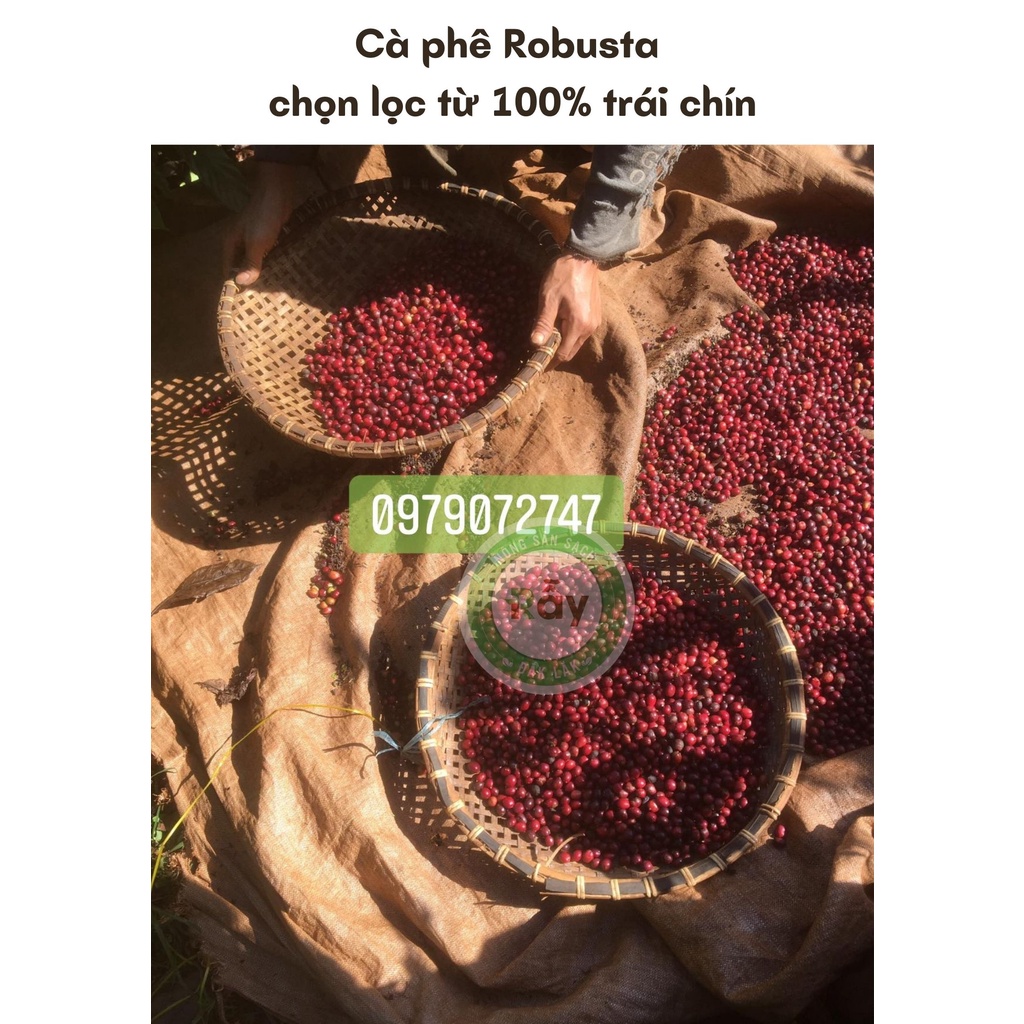 [500gram] Cà phê Robusta Rẫy cao cấp từ hạt cafe chín 100%, đặc sản chế biến ướt, hậu vị ngọt | BigBuy360 - bigbuy360.vn