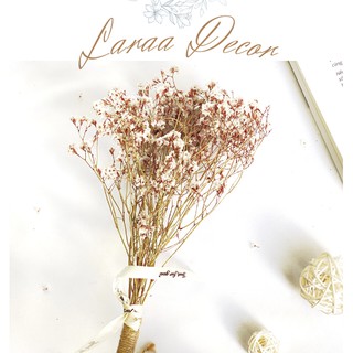 Hoa Mận Khô Bó 100gr Màu Đỏ trắng Laraa Decor - Kích thước 30-50cm - Dùng trang trí nhà cửa, cắm bình, lọ