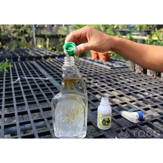 Chế phẩm vi sinh Sômin hoa lan 100ml