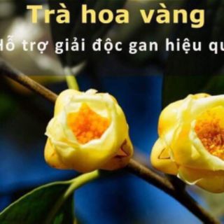 cây Trà hoa vàng