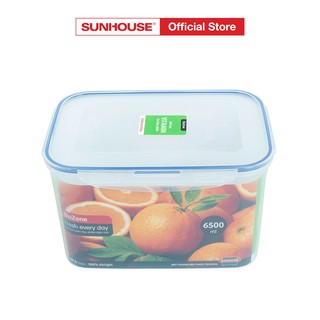 HỘP NHỰA BIOZONE KB-CO6500P