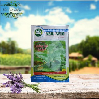 Hạt giống mồng tơi vrdi 20gr